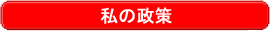 私の政策